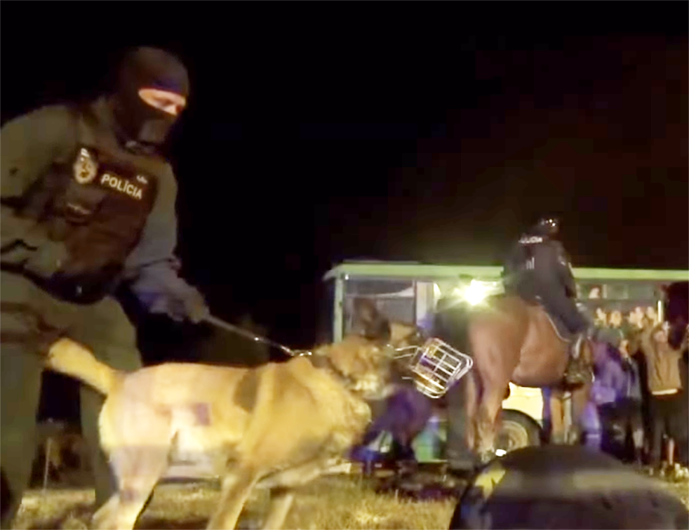 Аустрија шаље полицајце и псе на мађарско-српску границу